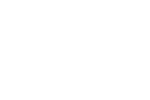 bcaa_logo BCAA logo in white